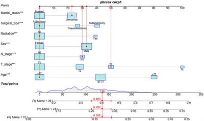 A nomogram for predicting postoperative overall survival of patients with lung squamous cell carcinoma: A SEER-based study